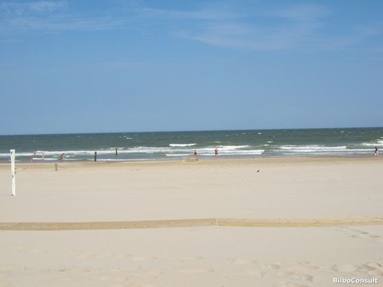 July 2011