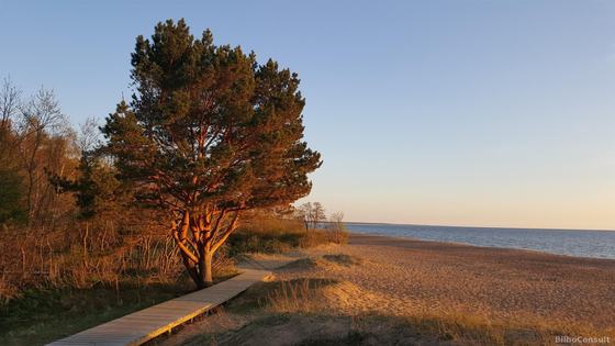 May 2016 — Saulkrasti, Latvia
