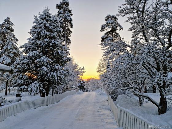January 2024 — Espoo, Finland
