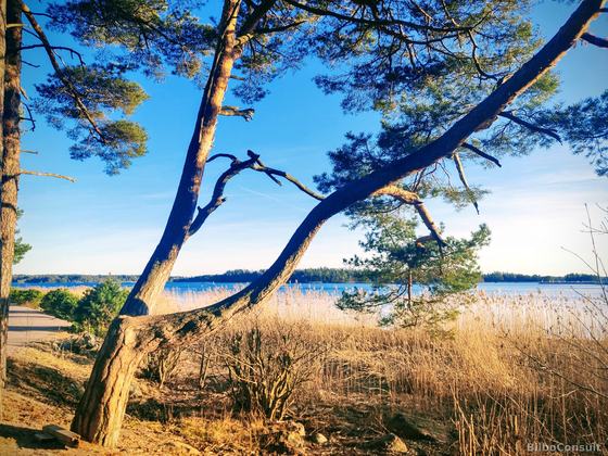 March 2025 — Espoo, Finland